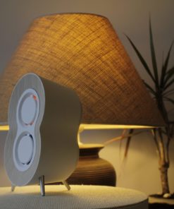 ismanusis eteriniu alieju difuzorius galerija interjeras